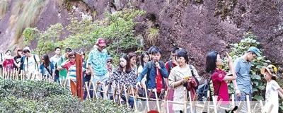 关于武夷山茶文化休闲游逐渐成为“热门”的新闻