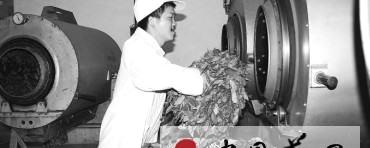 关于大田县开展茶叶初制加工清洁化改造工程的新闻