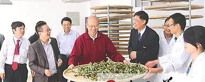有关于北京大学校长王恩哥到武夷山体验岩茶制作过程的资讯