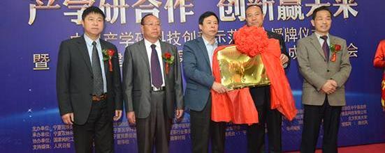 关于童子茶带动宁夏经济全面发展的热门资讯