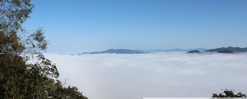有关于探访普洱茶圣地  曼松贡茶山的新闻