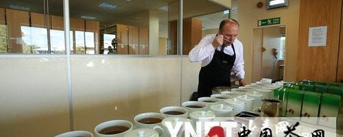 关于墙内开花墙外香 纪录片《茶》聚焦国饮现状的热门新闻