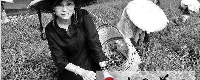 有关于沈阳茶艺师需5000人 目前缺口高达4500人的最新资讯