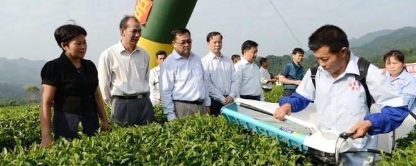 有关于昭平县举办茶叶生产机械化示范现场会的热门新闻