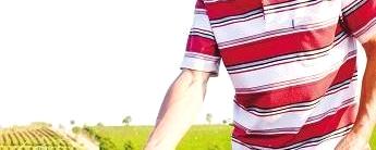 有关于长沙县63000多亩茶叶减产约30% 3600多亩绝收的热门新闻