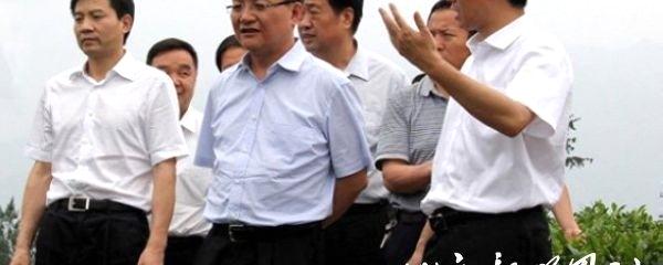关于紫阳洄水镇千户茶农建万亩富硒茶园的资讯