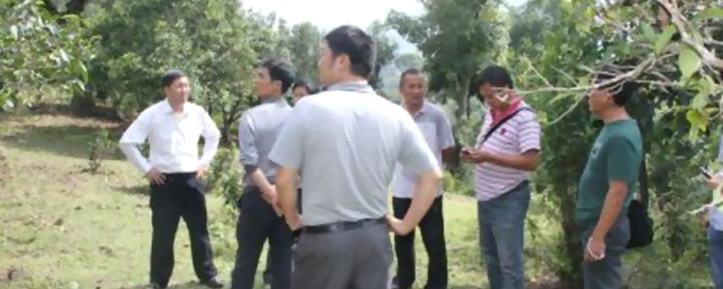 有关于勐海县贺开古茶园生态建设试验示范的新闻