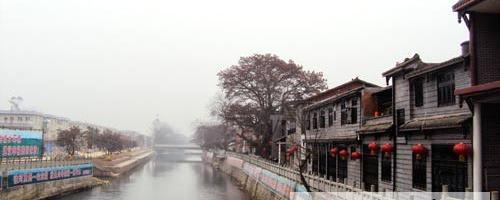 有关于西部雅安有个“水韵茶乡”的热门信息