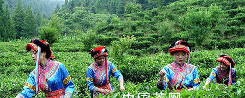 关于“熟人经济”盛行茶市的热门信息