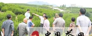 有关于东阳汽校组织马宅茶农参观“茶乡”（图）的信息
