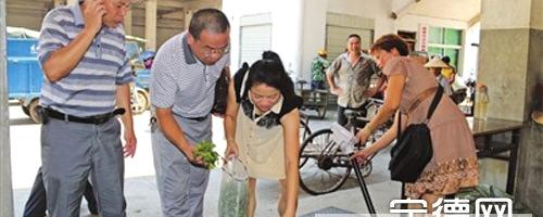 关于福鼎质量计量检测所开展秋茶青样品抽样检查的消息