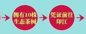 关于聚划算首推印江县28万亩茶树预定的热门消息