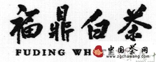 有关于福鼎白茶，香飘海内外的资讯