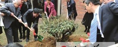 关于茶文化的力量不可小觑的最新资讯