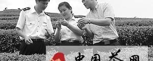 有关于安溪县出口茶叶质量安全示范区建设成效显现的信息