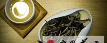 有关于茶多酚与普洱茶品质的关系的热门消息