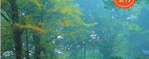 关于《茶旅中国》杂志创刊号走进蒙顶山的热门新闻