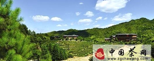 有关于非遗之旅， 探寻安溪铁观音传统正味的最新资讯