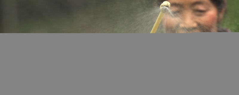 关于寻找手工茶的发展之路：从蒙顶黄芽说起的热门信息