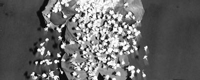 关于业界传声：让福州茉莉花茶真正成为福州的名片的热门信息