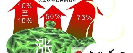 关于8000元一公斤?游资又来＂炒茶＂ 高端普洱一夜暴涨的热门信息