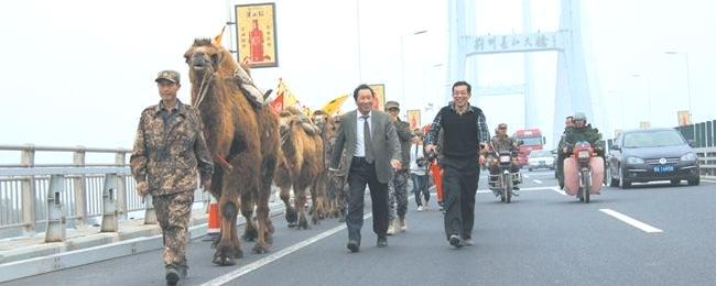 有关于重走“茶叶之路”百峰骆驼队过荆江的最新资讯
