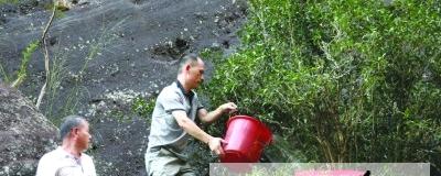 有关于武夷山：拯救“大红袍”的热门消息