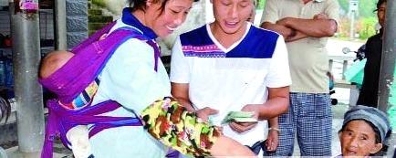 关于凌云县今年前３季度茶叶产值或达２.３８亿元的热门消息