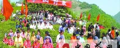 关于“紫阳富硒茶”独家冠名辽宁茶城评选的热门消息