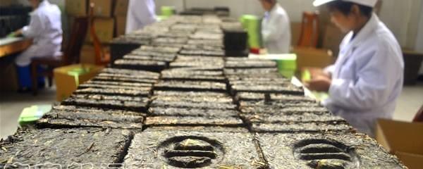 关于川红茶业集团20吨茶叶将出口俄罗斯的最新资讯