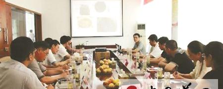 关于日照茶厂研发黑茶 预计年底上市的热门消息