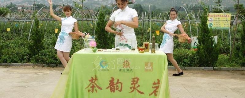 有关于济南灵岩茶被选为第十届中国艺术节指定用茶的热门新闻