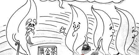 有关于宁波自主培育茶树新品种黄色茶的信息