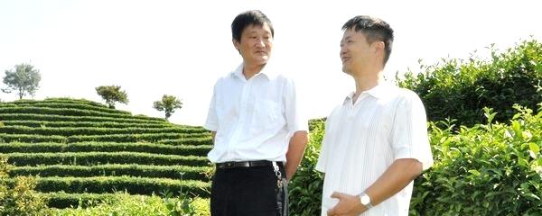 有关于与韩宝瑜教授对话岳西翠兰茶的热门信息