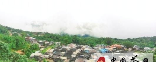 关于茶树自然博物馆景迈古茶园迈上申遗路的最新消息