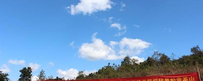 有关于给你不一样的曼松贡茶山的热门信息