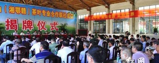有关于湘鄂赣逾两百家茶叶合作社浏阳结盟 进行深度整合的信息