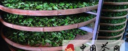 关于从厦门到安溪：以茶开始 以酒结束的热门消息