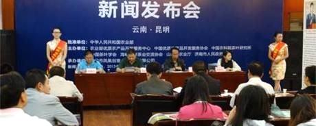 有关于2013中国茶博会云南数字：2012云茶产值223.29亿元的资讯