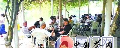关于厦门人到公园泡茶欢度国庆节假日的新闻