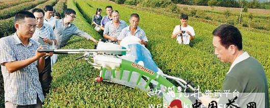 关于绍兴市新昌县成全国名优茶机械化采摘试验地的最新信息