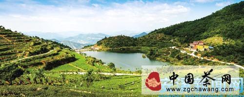 关于安溪县扶持建设千亩以上连片高标准生态茶园的热门信息