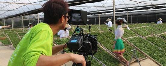 有关于中国日报记者到天丰源茶企采风的热门新闻