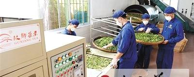 关于广西昭平打造“放心茶”“安全茶”的热门资讯