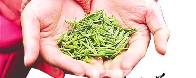 关于武夷山红茶金骏眉：生态茶产业造福茶农的最新资讯