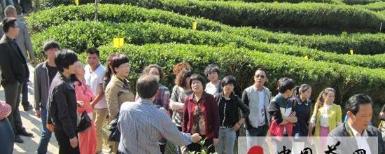 有关于福鼎启动白茶品质的关键技术和营销培训班的资讯