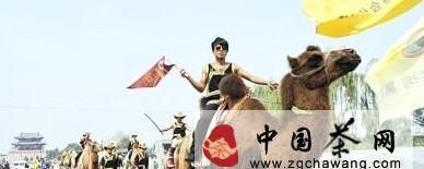 关于“重走茶叶之路”驼队抵达晋中榆次的消息