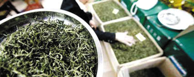 有关于终端炒作让新贵白茶又成玄虚的最新消息