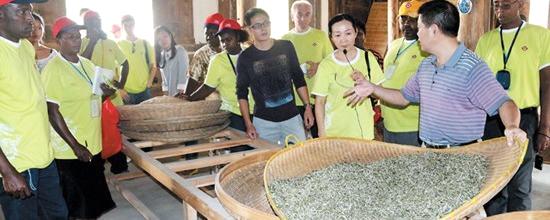 关于外国学员赴点头考察茶产业的消息