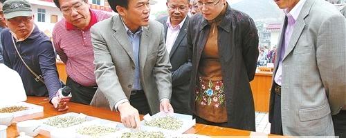 有关于仁化县扶持茶叶产业发展，打造广东产茶强县的热门新闻